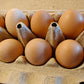 Farm Fresh Eggs