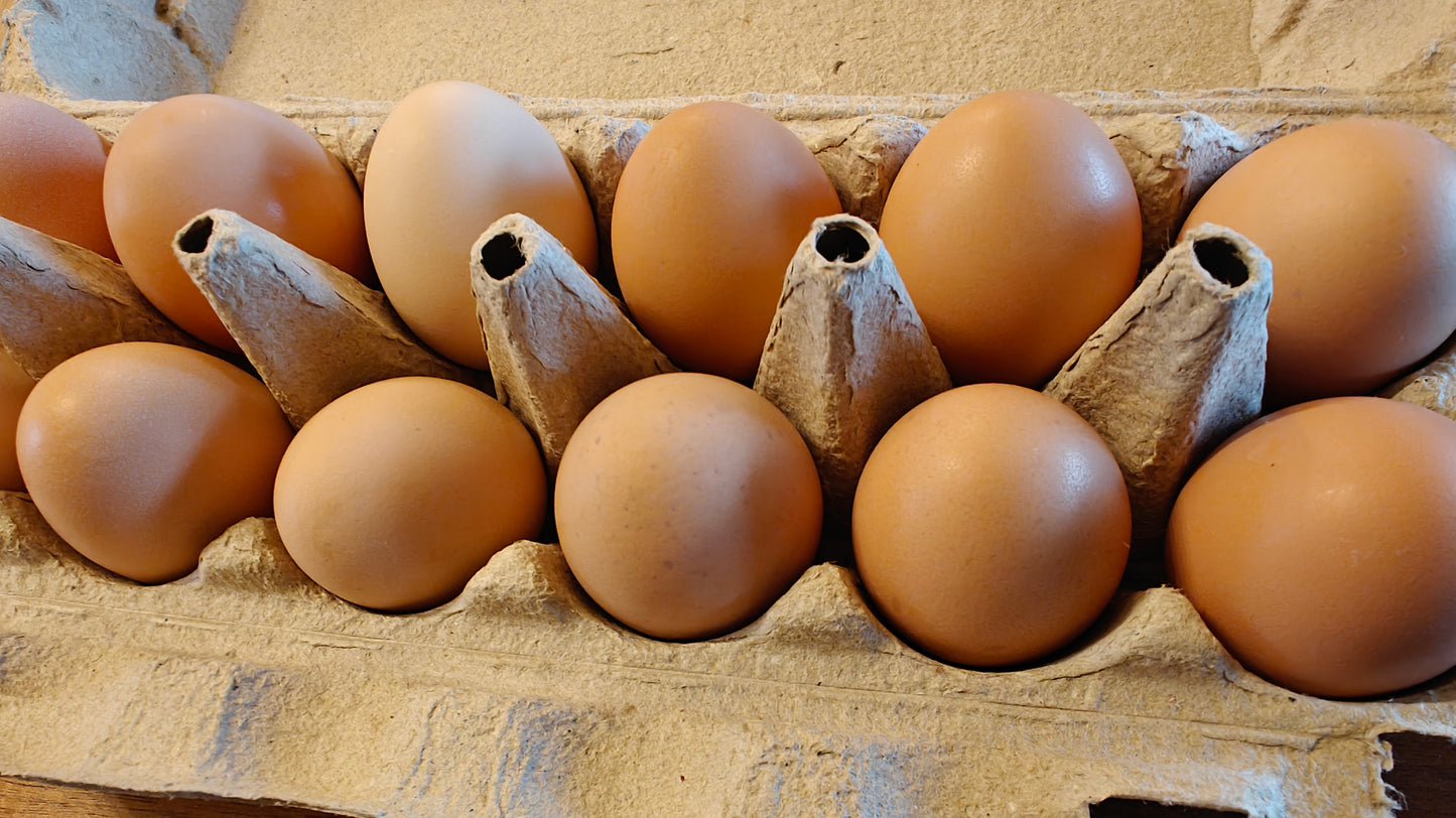 Farm Fresh Eggs